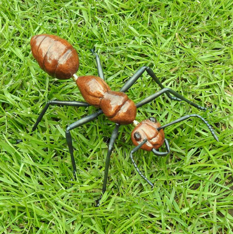 Ant